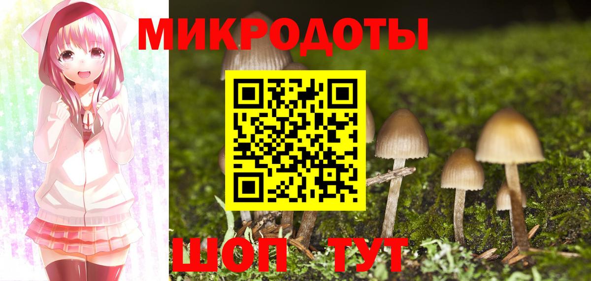 Галлюциногенные грибы прущие грибы Новоалтайск