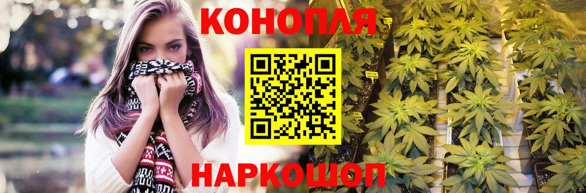 Канабис Ganja Новоалтайск